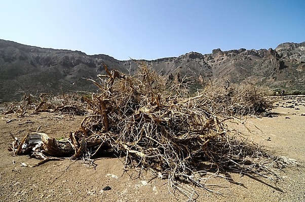 포토 JPG 해외이미지 유럽 호수 모래 여행 오렌지 하늘 산 건조 풍경 사람없음 빨간색 빛 갈색 사막 시골 죽음 뜨거움 중앙 호주 위험 땅 인도인 언덕 부식 화산 먼지 신성 동쪽 생태학 스페인어 오지 요르단 팔레스타인 수평선 해외202004 해외포토 외국인 교육 나라 컬러 컨셉 과일 중동 동양인 오세아니아 방향 파일형식 이미지허브