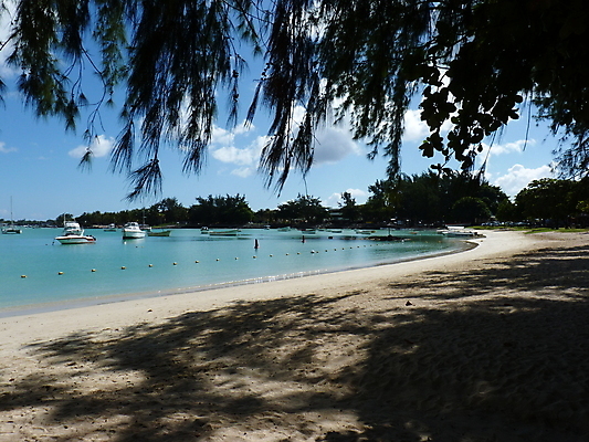 포토 JPG 해외이미지 나무 모래 바다 섬 여행 자연 하늘 휴가 휴식 손바닥 사람없음 물 여름 파란색 태양 침묵 흰색 보트 고급 인도인 휴양지 모리셔스 이국적 터키석 파라다이스 해외202004 해외포토 자연요소 외국인 식물 손 계절 컬러 컨셉 배_교통 동양인 소리 장소 보석 생태계 파일형식 이미지허브