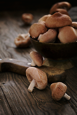 포토 JPG 해외이미지 식물 계절 음식 백그라운드 다이어트 채소 재료 자연 탁자 건강 요리 사람없음 목재 가로 갈색 주방 식사 저녁식사 버섯 수확 가을 흰색 신선 그룹 맛 숲 자르기 먹기 준비 유기농 날것 내추럴 곰팡이 숙성 식용 채식주의자 해외202004 해외포토 나무 웰빙 컬러 가구 컨셉 농업 모션 생태계 채식 파일형식 이미지허브