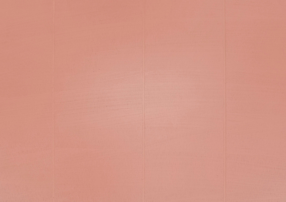 포토 JPG 해외이미지 디자인 벽 백그라운드 패턴 건축양식 표면 추상 주택 사람없음 내부 목재 장식 우주 페인트 방 수확 흰색 시골 거친 그리기 수리 묘사 그림 질감 화가 부활 그런지 업그레이드 옛날 해외202004 해외포토 나무 직업 건축 컬러 무늬 농업 재료 모션 건물 파일형식 이미지허브