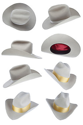 포토 JPG 해외이미지 옷 이벤트 사람없음 장식 목장 장비 흰색 소 카우보이 페도라 로데오 서쪽 해외202004 해외포토 모자_잡화 컬러 포유류 방향 파일형식 이미지허브