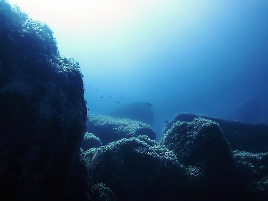 포토 JPG 해외이미지 바다 백그라운드 자연 표면 바닥 어류 풍경 사람없음 물 파란색 빛 햇빛 태양 바닷속 수중 어둠 광선 액체 해조류 지중해 아래 순수 다이빙 암초 수족관 내추럴 깊이 터키석 해외202004 해외포토 자연요소 컬러 컨셉 수영 수중동물 해양식물 보석 방향 생태계 위치 수중스포츠 파일형식 이미지허브