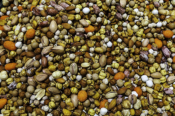 포토 JPG 해외이미지 계절 음식 백그라운드 과일 자연 해바라기 건조 건강 종류 씨앗 사람없음 갈색 쌓기 견과류 흰색 신선 소나무 그룹 닫기 맛 굽기 배열 먹기 묘사 유기농 질감 알맹이 날것 땅콩 호두 소금 아몬드 내추럴 섞기 식용 피칸 개암 해외202004 튀르키예 해외포토 나무 식물 웰빙 열매 꽃 아시아 컬러 컨셉 모션 구이 생태계 파일형식 이미지허브