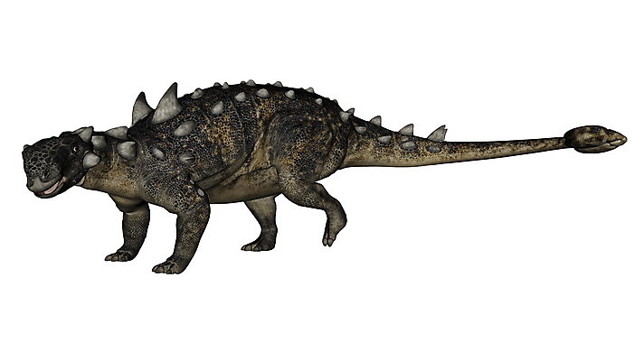 포토 JPG 해외이미지 동물 야생동물 캐나다 파충류 사람없음 3D 공룡 고생물 선사시대 쥬라기 해외202004 안킬로사우루스 해외포토 북아메리카 생물 역사 디지털합성 파일형식 이미지허브