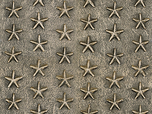 포토 JPG 해외이미지 디자인 별 백그라운드 패턴 표면 사람없음 금속 수확 골동품 질감 애국심 그런지 명패 해외202004 해외포토 자연요소 무늬 농업 재질 파일형식 이미지허브