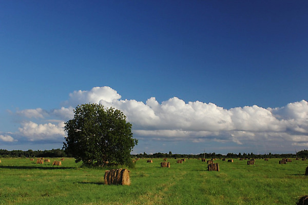 포토 JPG 해외이미지 구름 자연 휴식 사람없음 여름 볏짚 7월 해외202004 해외포토 자연요소 계절 컨셉 날짜 짚 생태계 파일형식 이미지허브