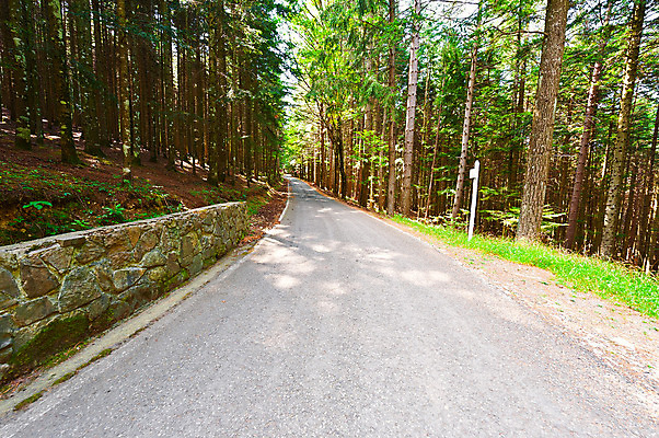 포토 JPG 해외이미지 나무 식물 공원 유럽 도로 여행 잎 곡선 교통시설 하늘 항해 그림자 경고 풍경 사람없음 야외 초록색 햇빛 태양 이탈리아 운전 젖음 덮개 시골 고속도로 터널 숲 그늘 아스팔트 방향 언덕 사인 속도 루트 방법 생태학 자동 직진 토스카나 해외202004 해외포토 자연요소 공공시설 교육 나라 길 선 컬러 교통 배_교통 모션 뚜껑 시설 파일형식 이미지허브