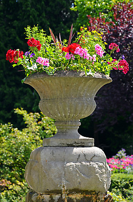 포토 JPG 해외이미지 식물 꽃잎 꽃 꽃무늬 자연 사람없음 컬러풀 정원 꽃병 봄 벚꽃 개화 원예 제라늄 화강암 해외202004 해외포토 계절 컬러 무늬 취미 암석 생태계 파일형식 이미지허브