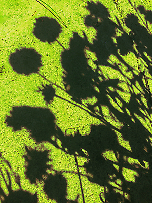 포토 JPG 해외이미지 디자인 벽 백그라운드 패턴 건축양식 벽지 표면 추상 사람없음 내부 장식 빛 노란색 유행 우주 페인트 손상 회색 수확 흰색 얼룩 황금 고급 떨어짐 묘사 질감 복고 시멘트 스크래치 그런지 옛날 콘크리트 스타일 해외202004 해외포토 건축 컬러 컨셉 무늬 농업 파일형식 이미지허브