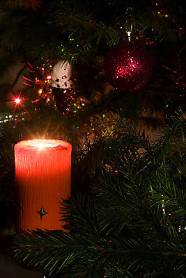 포토 JPG 해외이미지 전통 계절 백그라운드 크리스마스 겨울 공 휴가 새해 사람없음 장식 초록색 크리스마스트리 검은색 나뭇가지 축하 화려 12월 여의주 해외202004 해외포토 나무 기념일 컬러 컨셉 날짜 파일형식 이미지허브