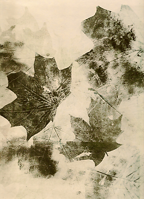 포토 JPG 해외이미지 나무 식물 계절 야생동물 백그라운드 단풍 잎 일러스트 자연 건조 흑백 창조 사람없음 장식 갈색 정원 가을 숲 은박지 질감 생물학 모음 세피아 옛날 해외202004 해외포토 동물 교육 컬러 촬영기법 한글 생태계 파일형식 이미지허브