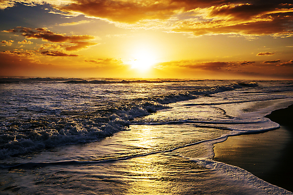 포토 JPG 해외이미지 실루엣 파도 바다 여행 백그라운드 자연 조류 휴가 휴식 산 풍경 사람없음 물 빛 모래사장 햇빛 태양 일출 미국 침묵 황혼 일몰 놀람 새벽 서핑 태평양 내추럴 감탄 특별함 환상 해외202004 해외포토 자연요소 동물 감정 컨셉 북아메리카 촬영기법 표정 노을 소리 수상스포츠 생태계 파일형식 이미지허브