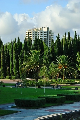 포토 JPG 해외이미지 나무 공원 잎 건축양식 창문 하늘 지붕 주택 손바닥 잔디 사람없음 해외202004 해외포토 식물 손 공공시설 건축 건물 파일형식 이미지허브