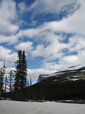 포토 JPG 해외이미지 나무 구름 겨울 자연 하늘 산 사람없음 세로 초록색 파란색 정상 절정 해외202004 해외포토 자연요소 식물 계절 컬러 생태계 파일형식 이미지허브