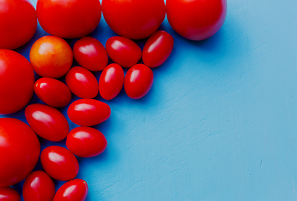 포토 JPG 해외이미지 하늘색 백그라운드 토마토 과일 귤 아이디어 안테나 건강 그림자 사람없음 빨간색 파란색 갈색 노란색 공백 활발 플랫 닫기 정상 질감 코코넛 옛날 오리지널 정물화 중고 터키석 특별함 해외202004 해외포토 컬러 컨셉 채소 통신 모션 보석 그림 파일형식 이미지허브