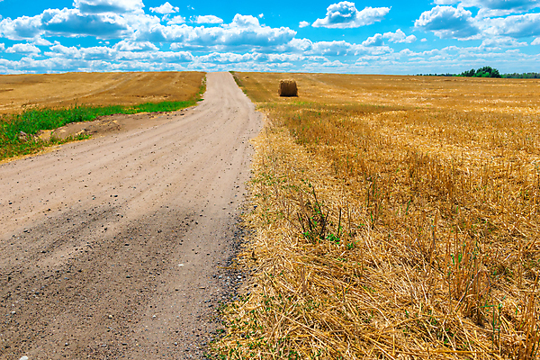 포토 JPG 해외이미지 주간 구름 도로 농업 하늘 풍경 사람없음 야외 농경지 짚더미 뭉치 해외202004 해외포토 자연요소 산업 길 교통시설 농장 볏짚 파일형식 더미 이미지허브