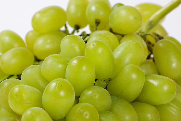 포토 JPG 해외이미지 열매 음식 과일 재료 포도 건강 사람없음 가로 초록색 흰색 신선 달콤 다발 먹기 유기농 날것 고립 숙성 채식주의자 해외202004 해외포토 식물 웰빙 컬러 모션 맛 채식 파일형식 이미지허브