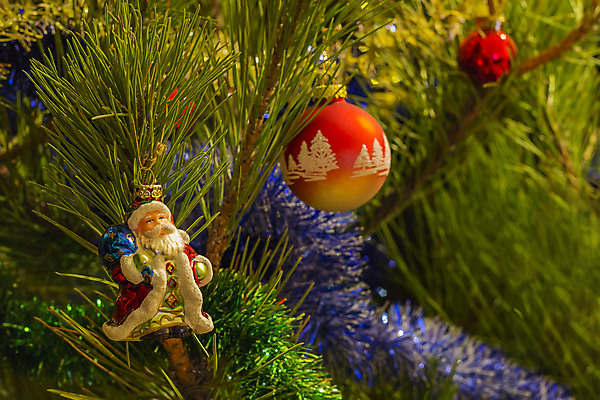 포토 JPG 해외이미지 나무 전통 계절 길 백그라운드 크리스마스 겨울 패턴 공 추상 휴가 매달리기 그림자 사람없음 장식 빨간색 빛 반짝임 장난감 산타클로스 노란색 파티 축제 화환 장식볼 흰색 나뭇가지 축하 소나무 원형 닫기 12월 연도 오브젝트 노엘 여의주 가문비나무 클라우스 해외202004 해외포토 도형 식물 기념일 꽃 컬러 컨셉 무늬 모션 이벤트 날짜 파일형식 이미지허브