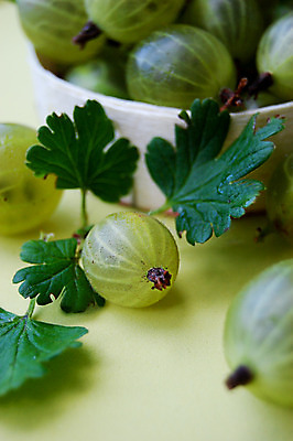 포토 JPG 해외이미지 열매 음식 잎 다이어트 과일 디저트 건강 식이요법 사람없음 목재 초록색 파란색 정원 식사 주스 칵테일 그룹 달콤 맛 잼 먹기 블루베리 향기 아로마 부드러움 이익 과육 구스베리 숙성 해외202004 해외포토 나무 식물 음료 컬러 컨셉 재료 모션 주류 감각 소스_음식 냄새 파일형식 이미지허브