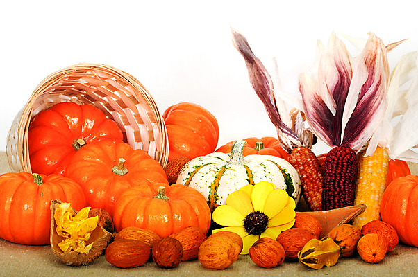 포토 JPG 해외이미지 전통 계절 꽃 음식 줄기 백그라운드 잎 채소 오렌지 자연 탁자 호박 휴가 건강 옥수수 사람없음 장식 컬러풀 농장 노란색 바구니 저녁식사 할로윈 견과류 수확 껍질 가을 흰색 축하 신선 황금 11월 오브젝트 박 추수감사절 10월 내추럴 고립 숙성 해외202004 해외포토 식물 기독교 컬러 가구 컨셉 농업 과일 곡류 식사 날짜 생태계 파일형식 이미지허브