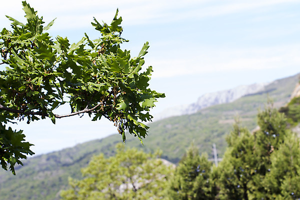 포토 JPG 해외이미지 구름 공원 여행 백그라운드 자연 하늘 산 풍경 사람없음 야외 초록색 여름 파란색 빛 평화 계곡 맑음 일몰 이탈리아 트래킹 절벽 하이킹 가을 바위 시골 황금 저녁 숲 큼 고도 산등성이 알프스 지역 암초 내추럴 절정 해외202004 해외포토 자연요소 계절 공공시설 유럽 컬러 컨셉 레저 날씨 노을 돌_바위 야간 크기 생태계 파일형식 이미지허브