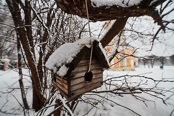 포토 JPG 해외이미지 나무 동물 디자인 계절 공원 야생동물 음식 백그라운드 겨울 가족 자연 조류 주택 매달리기 사람없음 야외 목재 상자 정원 얼음 추위 흰색 나뭇가지 최고 숲 서리 러시아 새장 내추럴 핸드메이드 눈내림 해외202004 해외포토 자연요소 식물 공공시설 유럽 컬러 재료 관계 모션 눈_날씨 건물 생태계 케이지 파일형식 이미지허브