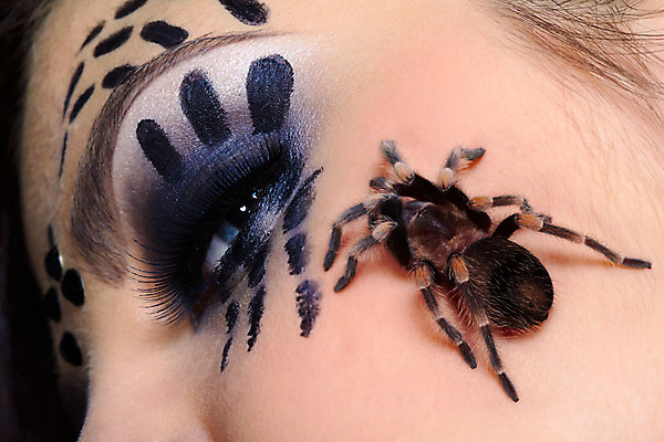 포토 JPG 해외이미지 백인 1 응시 여자 유럽 얼굴 갈색머리 한명 사람 유행 검은색 웹 화장품 흰색 화려 거미줄 거미 찌르기 바디페인팅 포식 스타일 해외202004 해외포토 서양인 헤어스타일 시선 나라 컬러 곤충 컨셉 인터넷 모션 신체부위 뷰티 파일형식 이미지허브