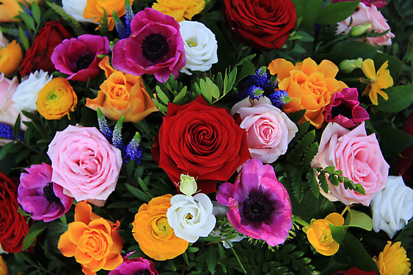 포토 JPG 해외이미지 식물 꽃잎 꽃 꽃다발 결혼 백그라운드 컨셉 오렌지 자연 결혼식 사랑 사람없음 장식 빨간색 초록색 파란색 장미 보라색 흰색 그룹 배열 꽃집 묘사 아네모네 해외202004 해외포토 감정 컬러 과일 이벤트 상점 생태계 파일형식 이미지허브