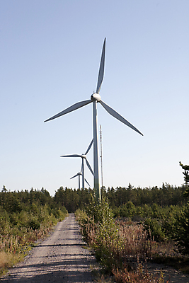 포토 JPG 해외이미지 날개 하늘 바람 핀란드 풍경 사람없음 여름 일출 새벽 재활용 풍차 발전소 에너지 시골 숲 생태계 방앗간 해외202004 해외포토 자연요소 계절 날씨 북유럽 노을 친환경 파일형식 이미지허브