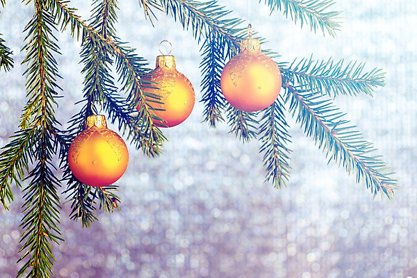 포토 JPG 해외이미지 나무 전통 디자인 계절 백그라운드 크리스마스 겨울 오렌지 공 추상 휴가 새로움 프레임 사람없음 장식 초록색 빛 반짝임 노란색 우주 화환 공백 흰색 나뭇가지 축하 인사 소나무 신용카드 은색 연도 보케 전나무 구성 해외202004 해외포토 식물 기념일 꽃 컬러 컨셉 무늬 과일 모션 금융 예절 파일형식 이미지허브