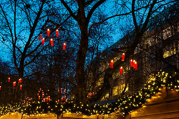 포토 JPG 해외이미지 나무 전통 계절 별 백그라운드 크리스마스 겨울 휴가 기념 사람없음 야외 장식 빨간색 초록색 빛 우주 축제 어둠 황혼 추위 흰색 축하 인사 시장 저녁 12월 연도 심볼 마법 전나무 해외202004 해외포토 자연요소 식물 기념일 컬러 컨셉 일몰 예절 날짜 야간 파일형식 이미지허브