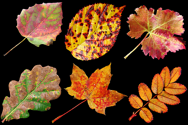 포토 JPG 해외이미지 사람없음 해외202004 해외포토 파일형식 이미지허브