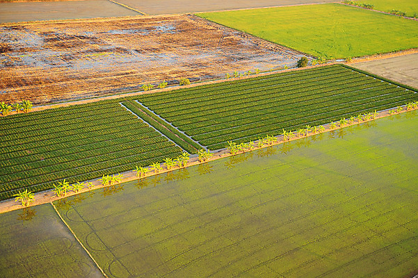포토 JPG 해외이미지 도로 지구 여행 백그라운드 패턴 밭 날개 자연 조류 휴가 산 안테나 파노라마 풍경 사람없음 야외 옆모습 초록색 여름 파란색 농작물 강 세계 농장 노란색 정원 행성 자유 시골 땅 언덕 질감 각도 장면 모자이크 땅바닥 수평선 해외202004 해외포토 동물 계절 길 뷰포인트 컬러 컨셉 무늬 농업 통신 교통시설 바닥 촬영기법 우주 생태계 파일형식 이미지허브