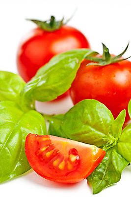 포토 JPG 해외이미지 잎 토마토 채소 사람없음 빨간색 초록색 흰색 조미료 체리 날것 레시피 바질 해외202004 해외포토 식물 컬러 과일 향미료 파일형식 이미지허브