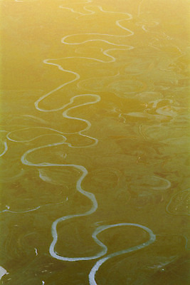 포토 JPG 해외이미지 나무 야생동물 바다 여행 백그라운드 밭 자연 하늘 추상 비행기 안테나 파노라마 풍경 사람없음 초록색 물 여름 파란색 강 환경 흰색 시골 헬리콥터 보호 습지 숲 땅 질감 수로 장면 내추럴 넘어짐 생태학 주입구 수평선 해외202004 해외포토 자연요소 식물 동물 계절 교육 컬러 컨셉 무늬 농업 통신 항공교통 모션 대중교통 촬영기법 생태계 파일형식 이미지허브