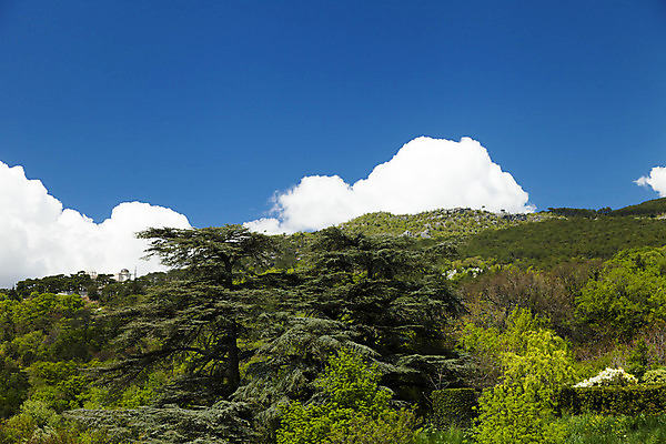 포토 JPG 해외이미지 구름 여행 백그라운드 태국 자연 하늘 산 파노라마 풍경 사람없음 야외 초록색 여름 파란색 빛 도시풍경 컬러풀 태양 우주 일출 맑음 어둠 안개 흰색 도시 뜨거움 연기 정상 숲 언덕 독수리 대머리 풍선 넘어짐 절정 수평선 해외202004 해외포토 자연요소 헤어스타일 계절 아시아 컬러 모션 조류 날씨 촬영기법 노을 생태계 파일형식 이미지허브
