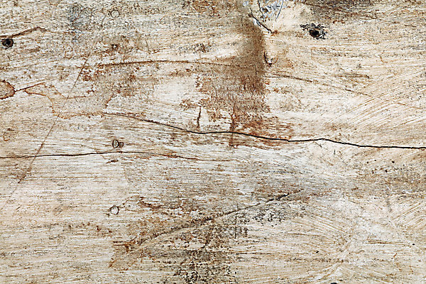 포토 JPG 해외이미지 백그라운드 표면 날씨 추상 사람없음 목재 갈색 검은색 회색 수확 흰색 얼룩 그리기 균열 널 고민 질감 그런지 옛날 해외202004 해외포토 나무 감정 컬러 무늬 농업 재료 모션 파일형식 이미지허브