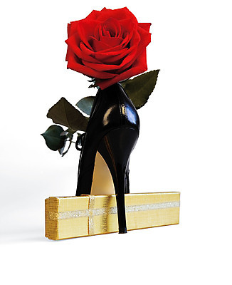 포토 JPG 해외이미지 라이프스타일 옷 여자 꽃잎 꽃 구두 결혼 신발 자연 발렌타인데이 사랑 사람없음 빨간색 빛 장미 유행 보라색 검은색 흰색 화려 클래식 고급 우아함 큼 가죽 심볼 오브젝트 준비 싱글 고립 양발 해외202004 해외포토 식물 감정 컬러 컨셉 데이이벤트 사람 이벤트 생활 크기 생태계 파일형식 이미지허브