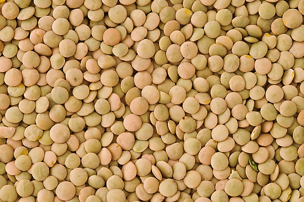 포토 JPG 해외이미지 식물 음식 백그라운드 농업 다이어트 채소 재료 자연 콩 건조 건강 식이요법 요리 씨앗 사람없음 식사 유기농 질감 날것 흙더미 내추럴 숙성 식용 채식주의자 해외202004 해외포토 웰빙 산업 곡류 흙 생태계 채식 파일형식 더미 이미지허브