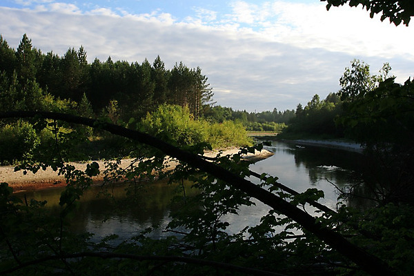 포토 JPG 해외이미지 나무 문화 날씨 기술 사람없음 강 가을 숲 러시아 철학 해외202004 해외포토 식물 계절 교육 유럽 파일형식 이미지허브