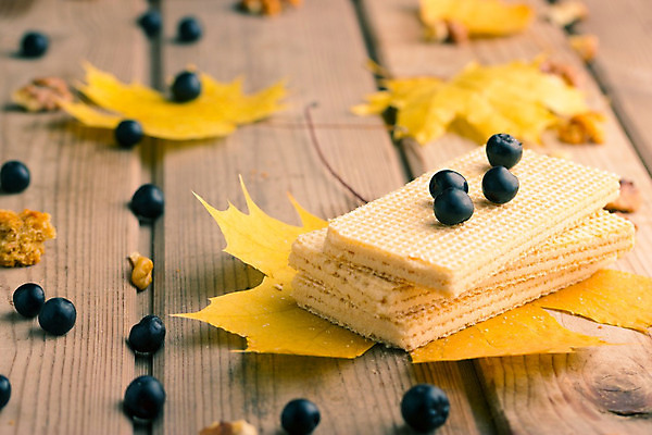 포토 JPG 해외이미지 나무 전통 디자인 계절 공원 백그라운드 단풍 잎 생각 오렌지 벽지 추상 휴가 디저트 프레임 사탕 미술 사람없음 야외 장식 파란색 컬러풀 노란색 세일 쿠키 초콜릿 칠판 빵집 가을 직물 달콤 11월 굽기 분필 질감 원뿔 10월 내추럴 고립 엘리먼트 해외202004 해외포토 도형 식물 공공시설 음식 컬러 무늬 과일 문화예술 상점 날짜 맛 구이 초크 파일형식 이미지허브