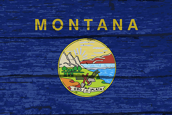 포토 JPG 해외이미지 백그라운드 미술 사람없음 목재 깃발 그런지 수목 전국 해외202004 해외포토 나무 재료 문화예술 파일형식 이미지허브