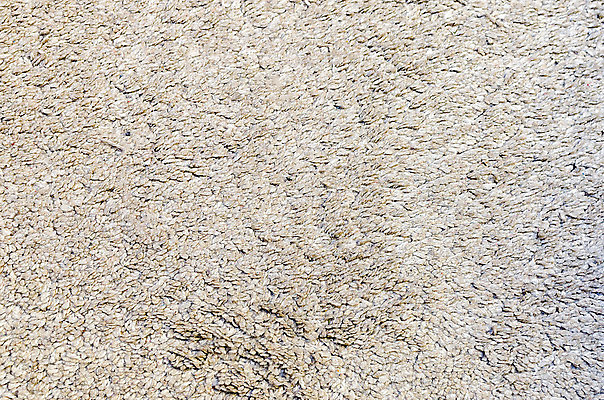 포토 JPG 해외이미지 백그라운드 패턴 벽지 표면 바닥 주택 털 사람없음 내부 인테리어 공백 카펫 매트 흰색 직물 떨어짐 모피 질감 부드러움 섬유 솜털 양모 안락 해외202004 해외포토 디자인 컬러 컨셉 무늬 건물 감각 파일형식 이미지허브