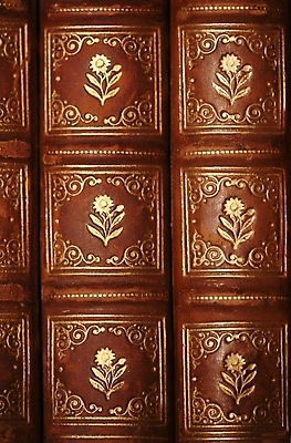 포토 JPG 해외이미지 백그라운드 표면 이야기 사람없음 책 갈색 수확 골동품 얼룩 거친 황금 도서관 가죽 수집 읽기 피부 향수 묘사 질감 복고 과거 문학 먼지 페이지 구김 옛날 규칙적 해외202004 해외포토 교육 컬러 컨셉 농업 모션 신체부위 화장품 파일형식 이미지허브