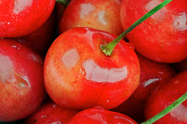 포토 JPG 해외이미지 백그라운드 과일 사람없음 빨간색 빛 농작물 신선 체리 달콤 다발 유기농 날것 베리 흙더미 건강식 숙성 정물화 해외202004 비건음식 해외포토 웰빙 음식 컬러 농업 흙 맛 그림 파일형식 더미 비건 이미지허브