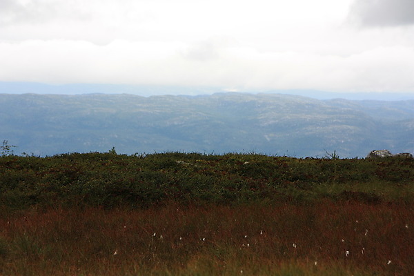포토 JPG 해외이미지 구름 길 자연 하늘 날씨 산 이끼 풍경 사람없음 빨간색 초록색 물 평화 어둠 화목 침묵 젖음 가을 소나무 황무지 변화 숲 멀리 자작나무 노출 산악지대 변소 해외202004 해외포토 자연요소 나무 계절 컬러 컨셉 소리 생태계 파일형식 이미지허브