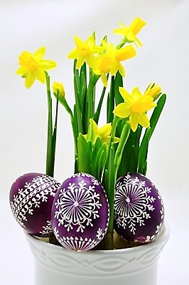 포토 JPG 해외이미지 식물 계절 꽃잎 꽃 줄기 분홍색 꽃다발 결혼 백그라운드 잎 꽃무늬 자연 휴가 부활절 선물 사랑 사람없음 초록색 여름 컬러풀 태양 노란색 정원 봄 벚꽃 흰색 신선 개화 그룹 백합 4월 다발 부활절계란 수선화 내추럴 고립 해외202004 해외포토 자연요소 기념일 감정 컬러 무늬 이벤트 계란 날짜 생태계 파일형식 이미지허브