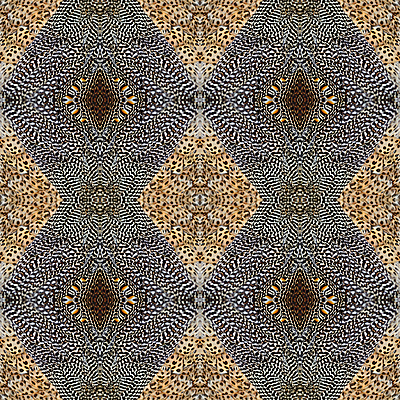 포토 JPG 해외이미지 동물 야생동물 백그라운드 패턴 자연 조류 추상 사람없음 초록색 컬러풀 활발 공작 깃털 묘사 질감 꼬리 내추럴 해외202004 해외포토 컬러 컨셉 무늬 생태계 파일형식 이미지허브