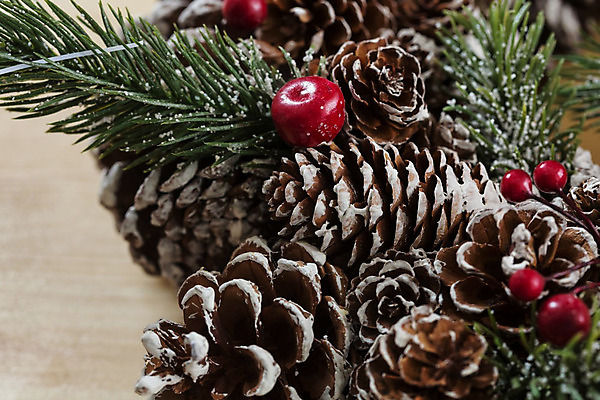 포토 JPG 해외이미지 나무 전통 계절 리본 백그라운드 크리스마스 겨울 공 휴가 새로움 선물 사람없음 목재 장식 빨간색 초록색 빛 산타클로스 우주 보라색 축제 화환 수확 흰색 축하 인사 소나무 그룹 12월 연도 묘사 활 복고 엽서 2014년 2015년 침엽수 전나무 2016년 가문비나무 스타일 2017년 해외202004 해외포토 식물 기념일 꽃 컬러 컨셉 농업 재료 예절 날짜 편지 파일형식 이미지허브