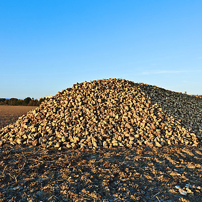 포토 JPG 해외이미지 식물 구름 산업 음식 백그라운드 패턴 밭 농업 채소 과일 자연 하늘 풍경 사람없음 야외 가로 파란색 농작물 농장 농경지 노란색 쌓기 정원 어둠 황혼 새벽 수확 안개 가을 시골 신선 달콤 농부 야간 설탕 네덜란드 유기농 날것 뿌리 흙더미 덩어리 밭일 비트 뿌연 숙성 많음 해외202004 해외포토 자연요소 직업 웰빙 계절 유럽 컬러 컨셉 무늬 모션 날씨 일몰 흙 맛 생태계 파일형식 더미 이미지허브